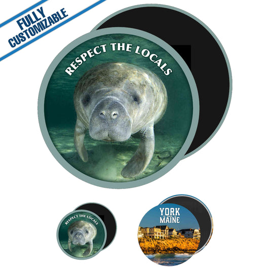 PRS-MAG3-4 - Example Pic